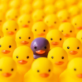 Rows of yellow rubber ducks with one dark purple duck in the center